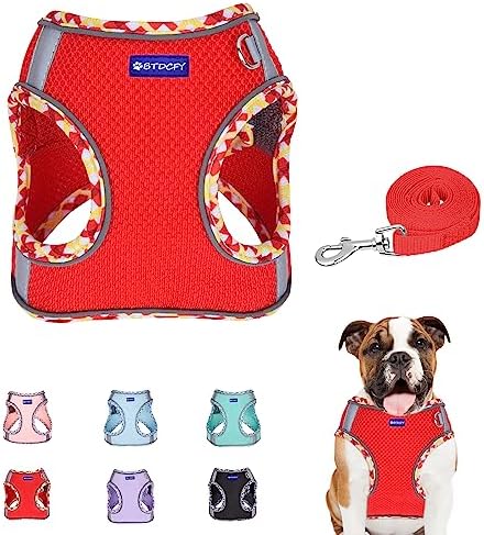 Step in Mesh Dog Harness and Leash Set Breathable Air Mesh Harness by BTDCFY