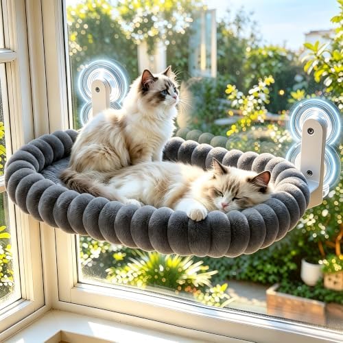 Cat Window Perch by LOVESPORTSLOVELIFELOVEU