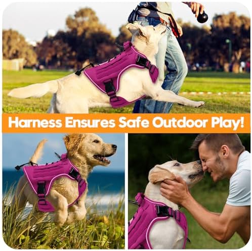 Bruvoalon Heavy-Duty Tactical Dog Harness - Image 6