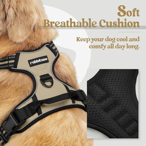 rabbitgoo Dog Harness, No Pull for Small Dogs - Image 2
