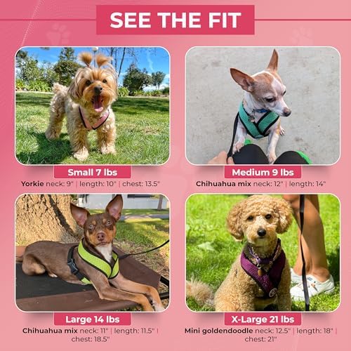 Gooby Comfort X Head-in Dog Harness, Choke-Free, Hunter Green - Image 4