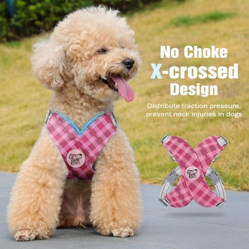 Pawaboo Small Dog Harness and Leash Set, Puppy Harness X-Frame Adjustable - Image 3