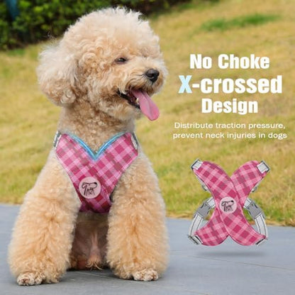 Pawaboo Small Dog Harness and Leash Set, Puppy Harness X-Frame Adjustable - Image 3