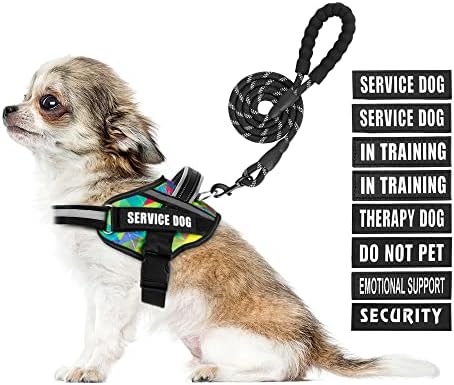 Service Dog Harness and Leash Set, by Animire