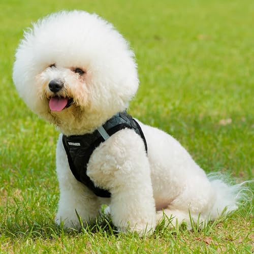 Voyager Step-In Plush Dog Harness – Soft Plush, Step In Vest Harness - Image 2