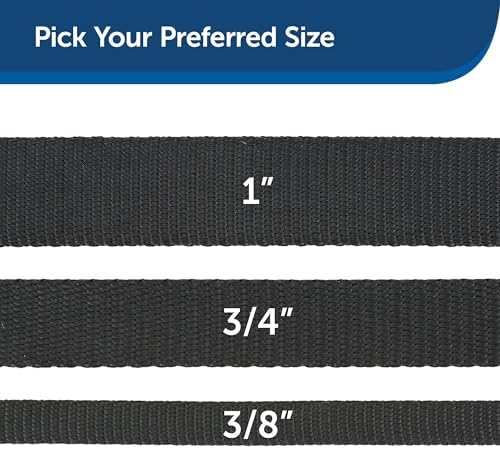PetSafe Nylon Dog Leash - Image 5