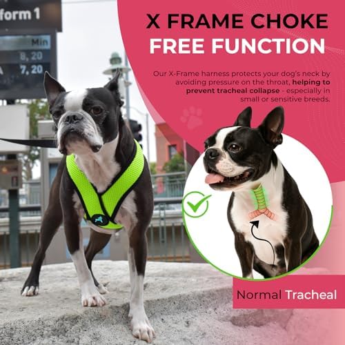 Gooby Comfort X Head-in Dog Harness, Choke-Free - Image 6