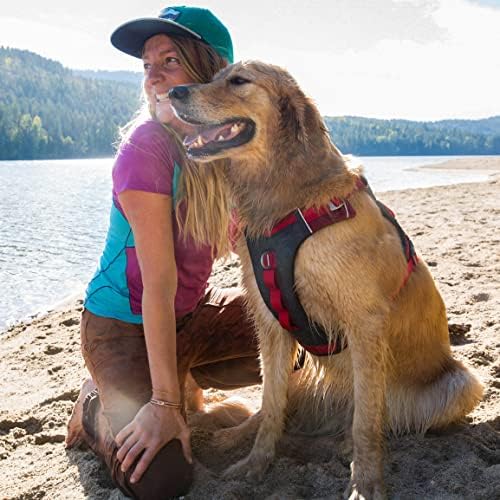 Kurgo Journey Air Dog Harness - Image 5