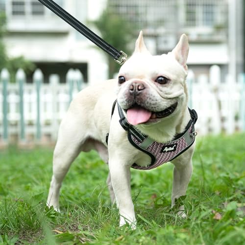 PUPTECK Dog Harness and Leash Set Medium Sized, Step in No Pull Adjustable - Image 5