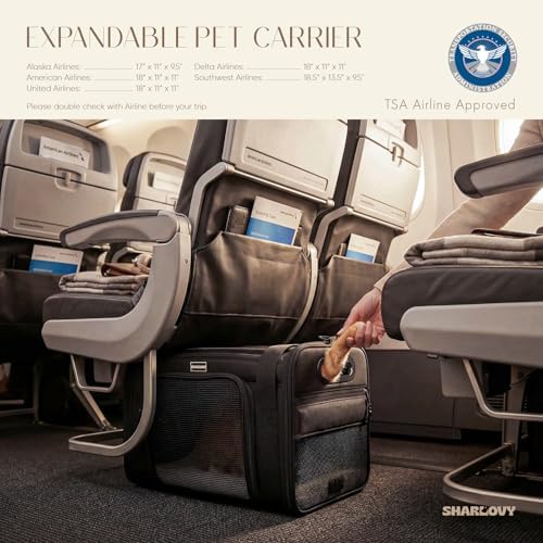 Top-Side Expandable Pet Carrier, Treat Window - Image 3