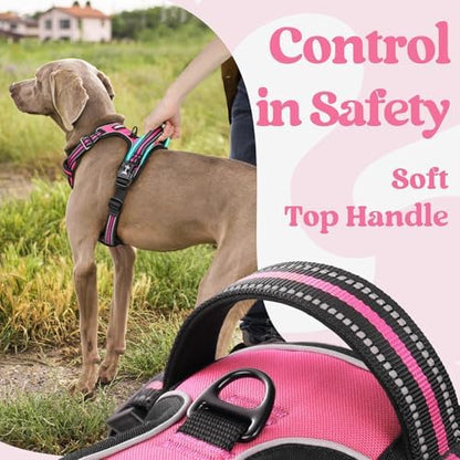 rabbitgoo Dog Harness for Large, Updated Easy On & Off - Image 4