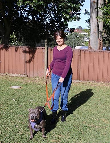 Primal Pet Gear Dog Leash 6ft Long, Traffic Padded Two Handle, Heavy Duty - Image 4