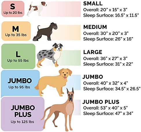 Furhaven Orthopedic Dog Bed for Medium/Small Dogs w/ Removable Bolsters & - Image 6