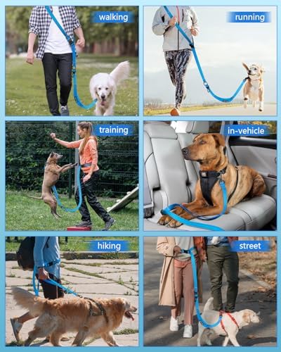 Hands Free Dog Leash - Image 5