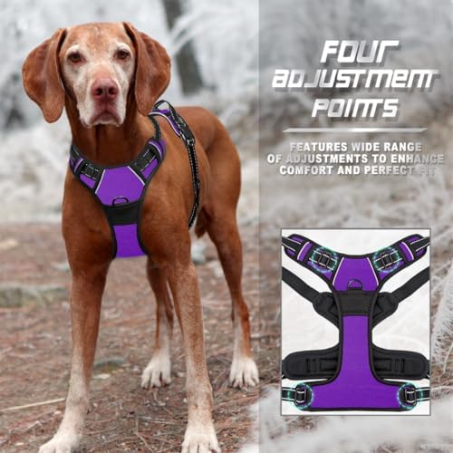 BARKBAY Dog Harness No Pull for Small Sized Dog Front Back Clips, Dog Vest - Image 6
