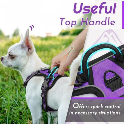 Eagloo Dog Harness for Small Dogs, No Pull Pet Vest - Image 5