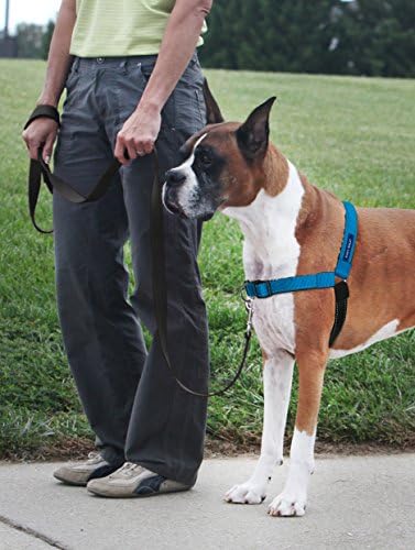 Petsafe Deluxe Easy Walk Harness, Ocean Blue, Model:EWH-D-HC-S-OCN - Image 2
