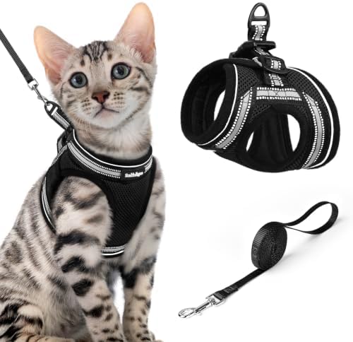 rabbitgoo Cat Harness and Leash Set, Step-in Soft Vest by rabbitgoo