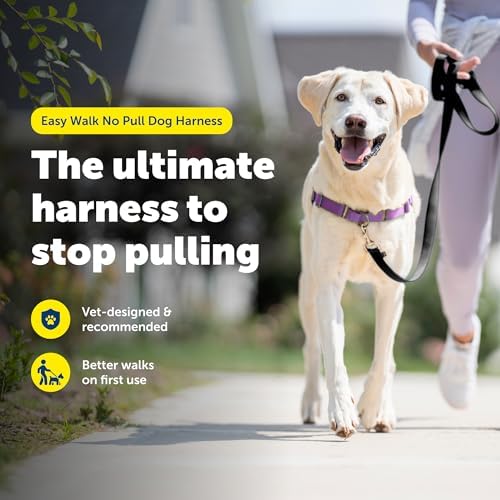 PetSafe Easy Walk Harness, No Pull Dog Harness, Deep Purple - Image 2