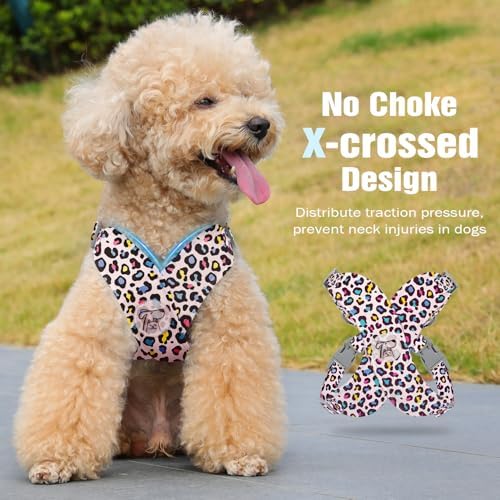 Pawaboo Small Dog Harness and Leash Set, Puppy Harness X-Frame Adjustable - Image 3