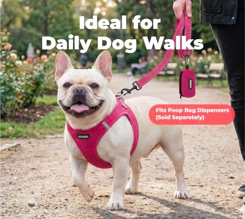 Best Pet Supplies Voyager Nylon Dog Leash - 6ft Fuchsia - Image 3