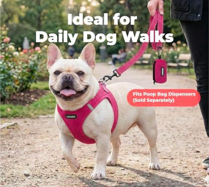 Best Pet Supplies Voyager Nylon Dog Leash - 6ft Fuchsia - Image 3