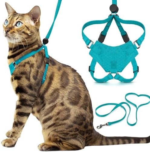 OutdoorBengal Houdini™ Escape Proof Cat Harness and Leash by OutdoorBengal