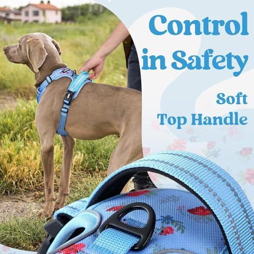 rabbitgoo Dog Harness Small Sized, Updated Easy On & Off - Image 5