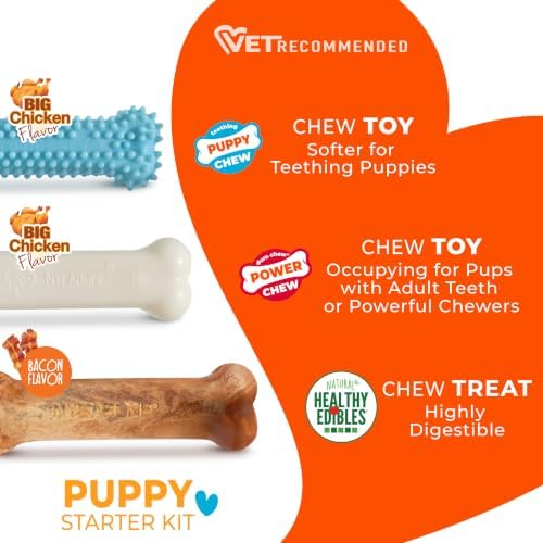 Nylabone New Puppy Starter Kit, Puppy Teething Toys, 3 Pack - Image 4