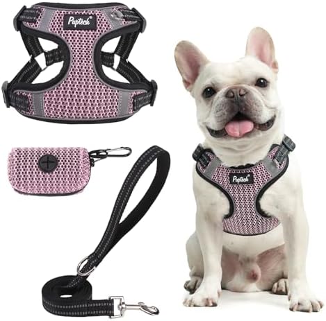 PUPTECK Dog Harness and Leash Set Small Sized, Step in No Pull Adjustable Puppy by PUPTECK