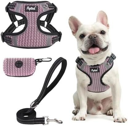 PUPTECK Dog Harness and Leash Set Small Sized, Step in No Pull Adjustable Puppy by PUPTECK