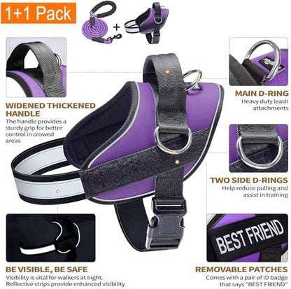 Haapaw Essential Dog Harness, No Pull Pet Vest - Image 2