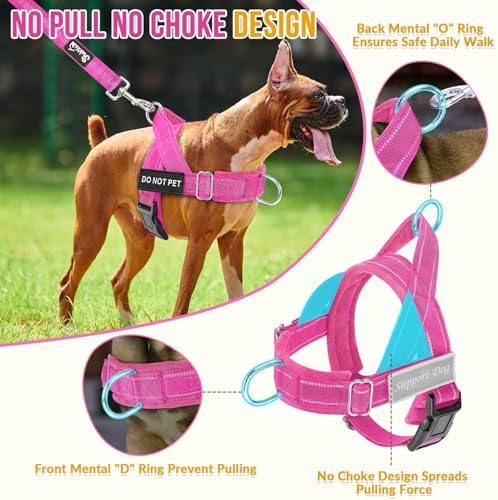 SlowTon No Pull Dog Harness and Leash Set - Image 2