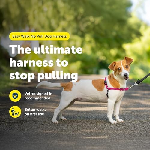 PetSafe Easy Walk Harness, No Pull Dog Harness - Image 2
