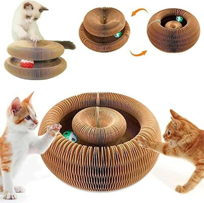 Kitty Curls Cat Toy, Cardboard Cat Scratcher, Magic Organ Cat Toy, Foldable - Image 3
