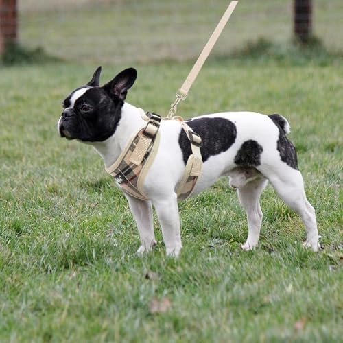 PUPTECK Small Dog Harness and Leash Set No Pull - Image 6