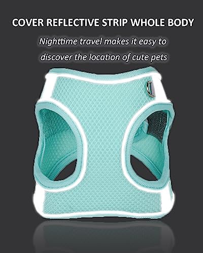 Solmoony Dog Harness for Small Medium Dogs No Pull, Puppy Harness and Leash Set - Image 4