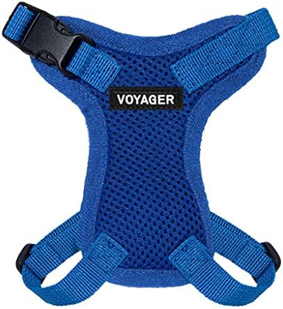 Voyager Step-in Lock Cat Harness & Leash Set by BestPetSuppliesLLC