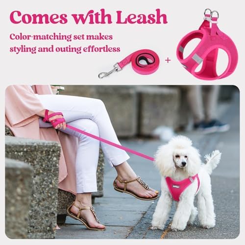 rabbitgoo Dog Harness Small Sized and Leash Set, Step-in Puppy Pet Vest - Image 6