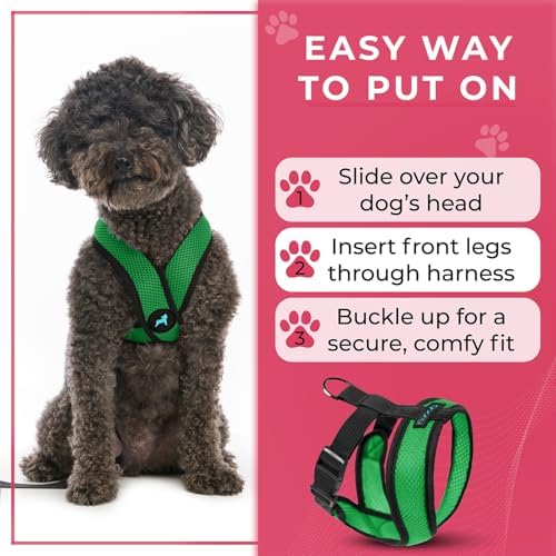 Gooby Comfort X Head-in Dog Harness, Choke-Free, Hunter Green - Image 6