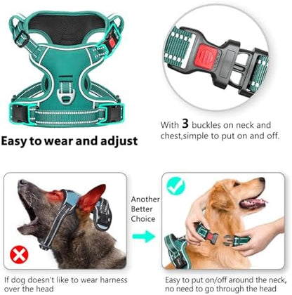 Timos Dog Harness Medium Sized, Quick Release 3 Buckles, Grass Green - Image 2