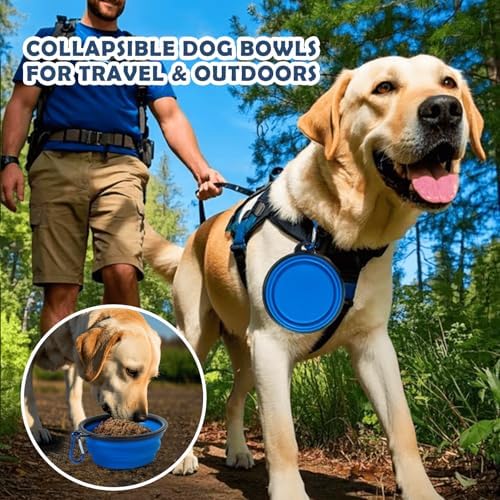 36 Inch Collapsible Soft Dog Crates - Image 5