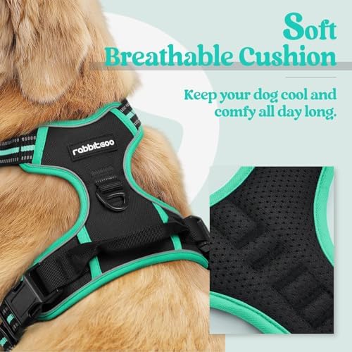 rabbitgoo Dog Harness, No Pull for Small Dogs - Image 2