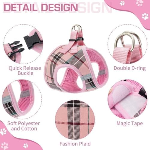KOOLTAIL Dog Harness for Small Medium Dogs, Dog Harness and Leash Set, Step in - Image 3