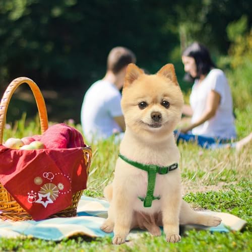 PUPTECK No Pull Dog Harness Small Sized Step-in Adjustable Puppy Vest - Image 5