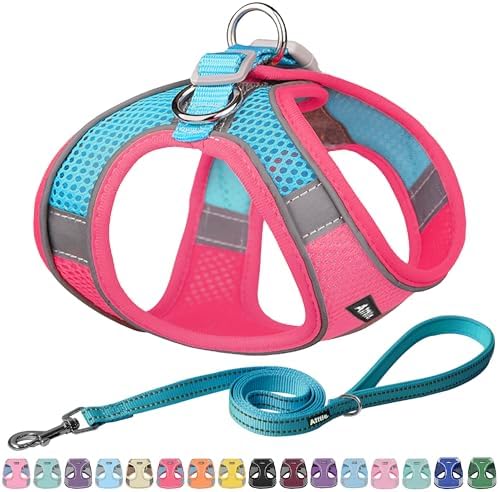AIITLE Dog Harness and Leash Set, Step-in Puppy Pet Vest, Hot Pink M by AIITLE-FORPETSBETTERLIFE