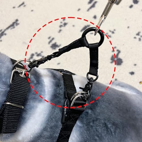 Double Clip Dog Leash for Two Dogs, Double Headed Hook Pet Safety 2 Way Coupler - Image 3