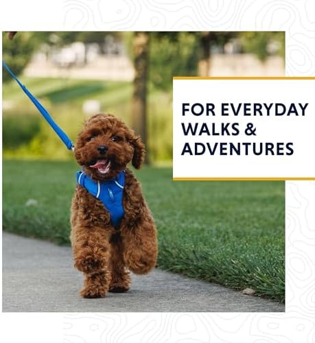 Ruffwear, Front Range Dog Leash, 5 ft Lead - Image 2