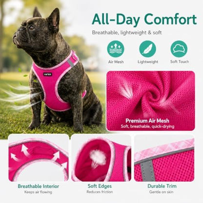 AMTOR Small Dog Harness with Leash Set, No Escape Easy Walk Puppy Harnesses - Image 2