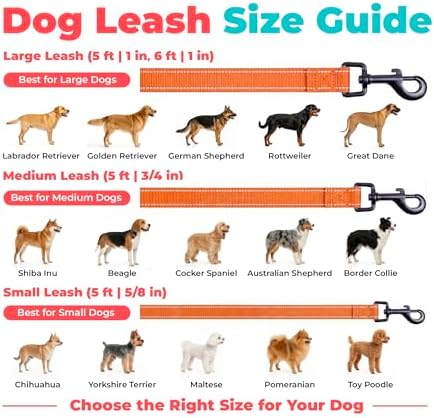 Best Pet Supplies Voyager Nylon Dog Leash - Image 6